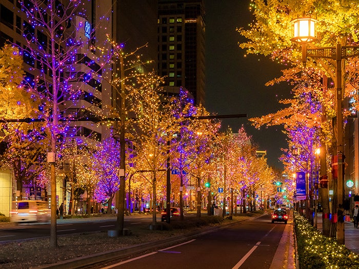 過去のイルミネーションの様子（C）大阪・光の饗宴実行委員会