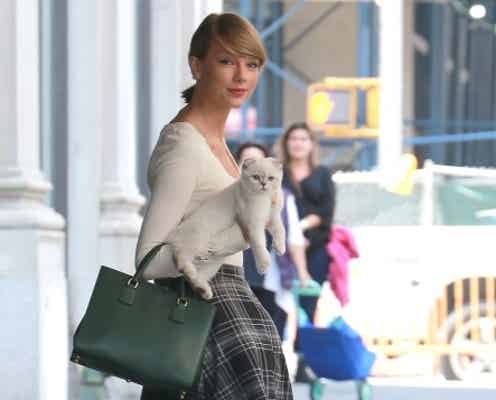 テイラー・スウィフト、猫のオリヴィアとお出かけ