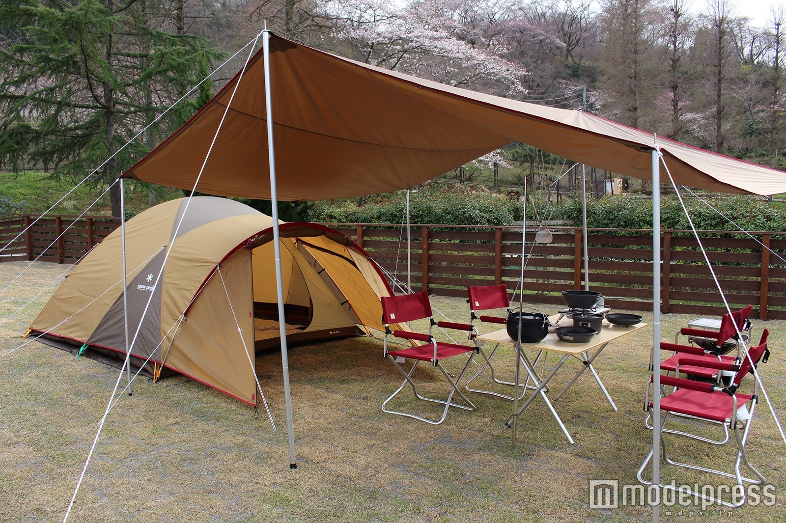 オートキャンプフィールド／画像提供：東京サマーランド