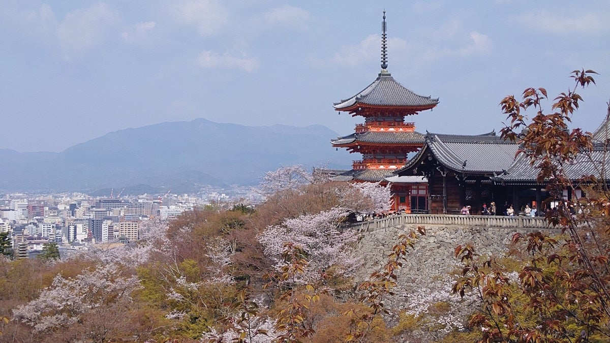 清水寺・三重塔と桜（2025年4月7日撮影）