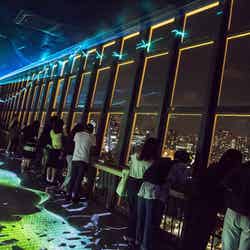 AURORA TROPICAL NIGHT/画像提供:東京タワー