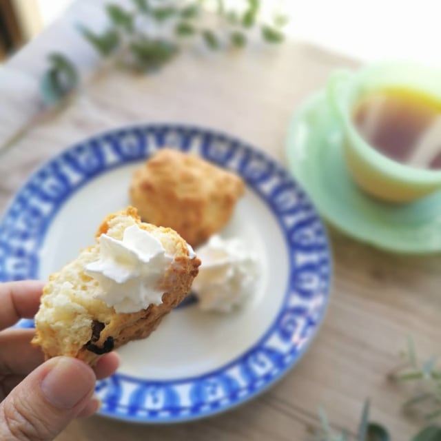 コストコのスコーン