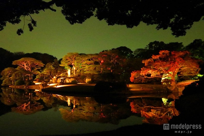 夜は5時頃からライトアップ