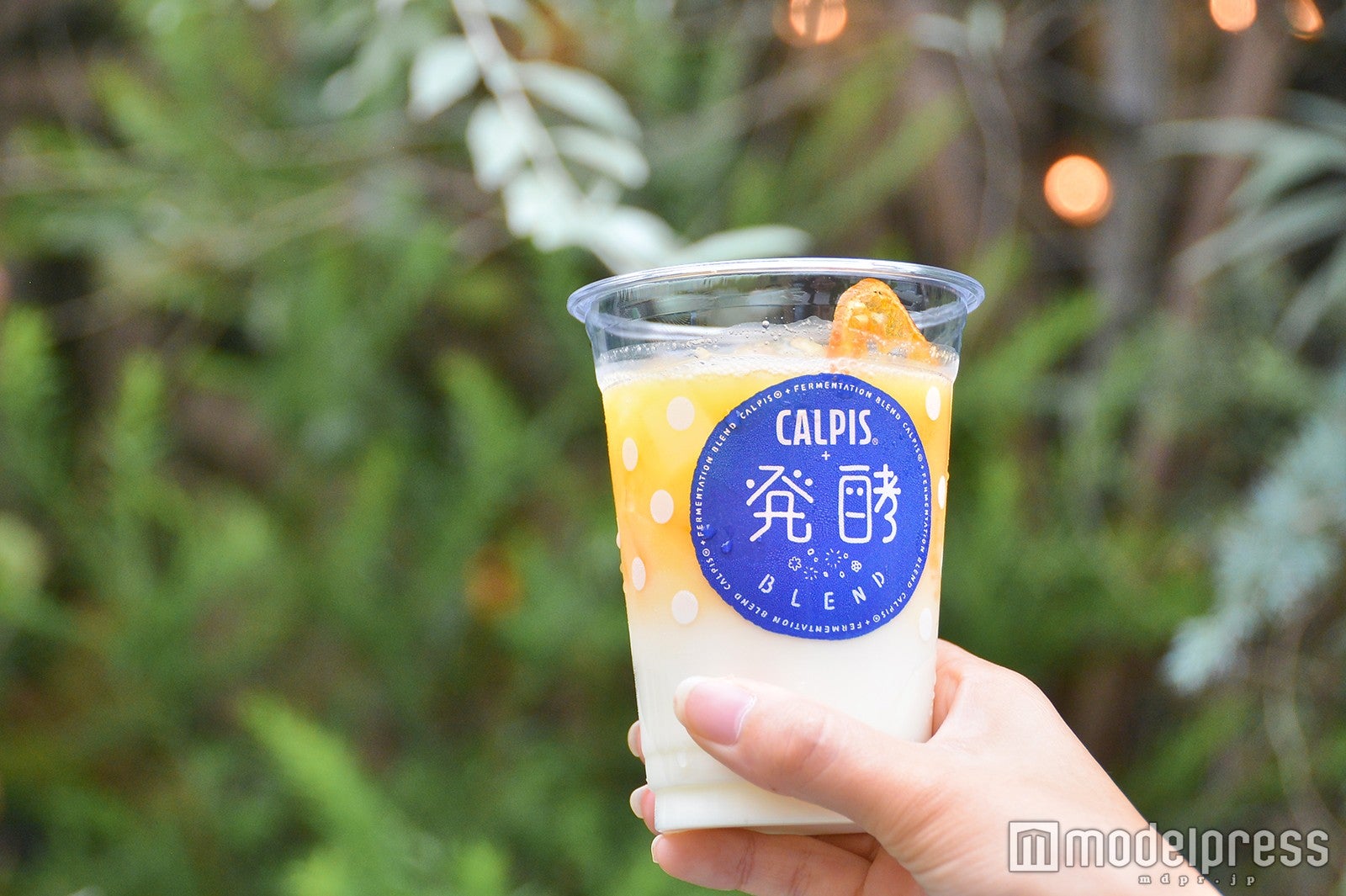 夏らしさ満点の味わい（C）モデルプレス