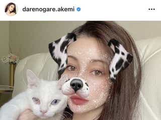 ダレノガレ明美 愛猫を抱っこする仲良し2ショットに なんてかわいさ 母と子みたい と反響 モデルプレス