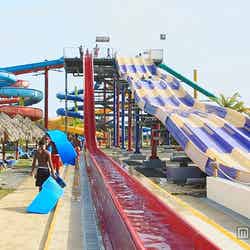 5種類のウォータースライダーが体験できるスライダータワー