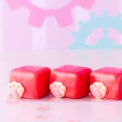 スイーツビュッフェ~mofusand sweets factory~/提供画像
