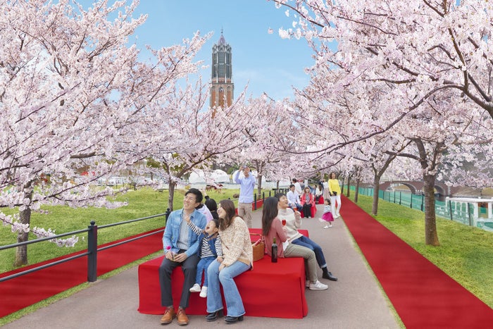 全長400mの桜並木／画像提供：ハウステンボス