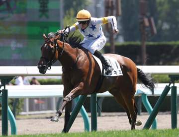 【新馬戦】ツキミ 2番手抜け出し初陣飾る レーンが高評価「レースセンス見せた。今後が楽しみ」