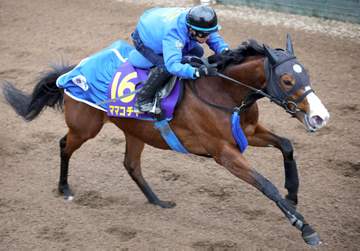 【高松宮記念】ママコチャ 豪快加速 池江師「1回使った上積みある」 陽気を味方に2度目のG1制覇へ