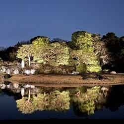 過去のライトアップの様子/提供画像