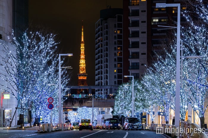 冬の風物詩となった寒色系のイルミネーション“SNOW&BLUE”/画像提供:六本木ヒルズ
