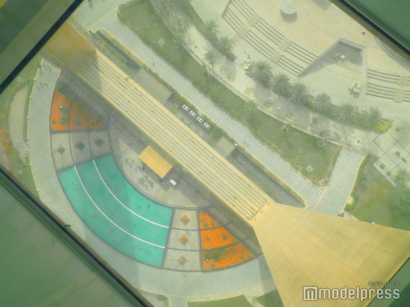 展望台のガラスの床から見下ろす景色（C）モデルプレス