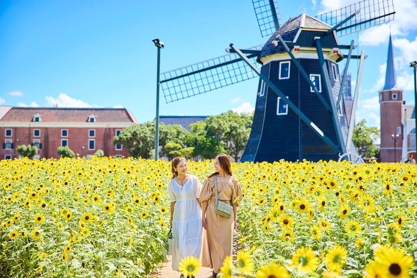 フラワーロード／提供画像