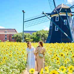 フラワーロード/提供画像