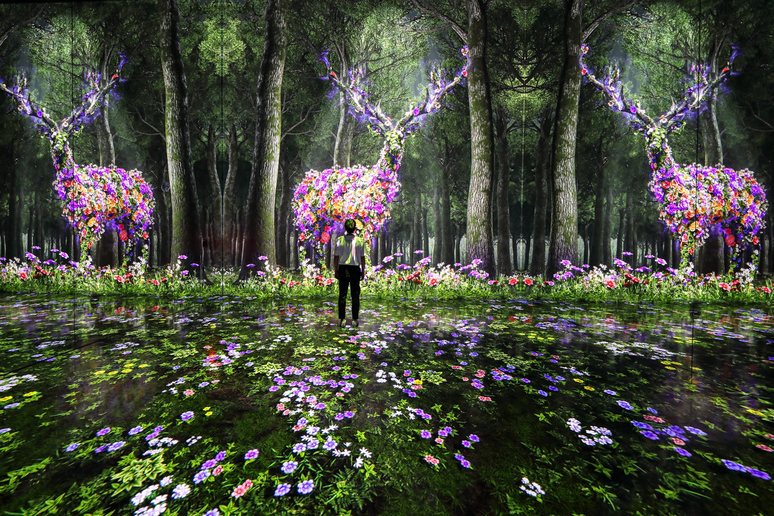 FOREST（GANGNEUNG）／提供画像