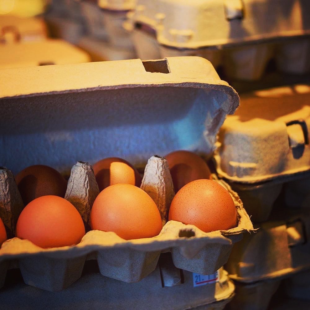 Gold Coast TAMAGOYA／画像提供：徳森養鶏場