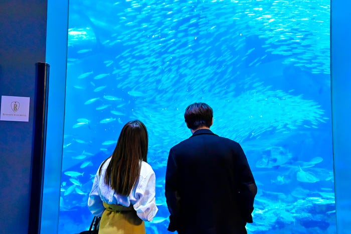 石原さとみ、綾野剛「恋はDeepに」第2話より(C)日本テレビ