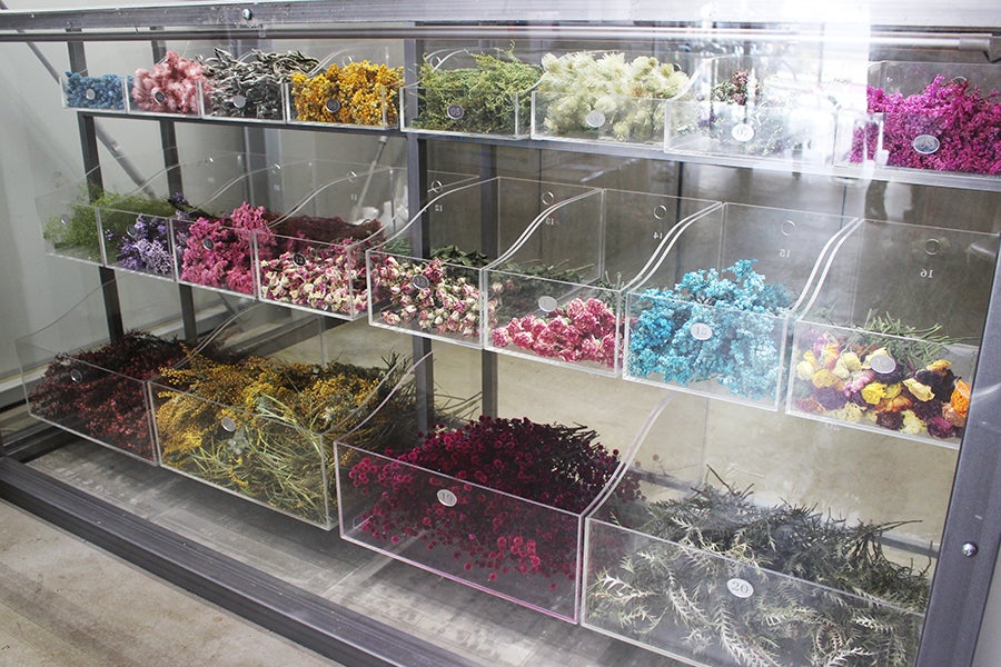 EW.Pharmacy ドライフラワー