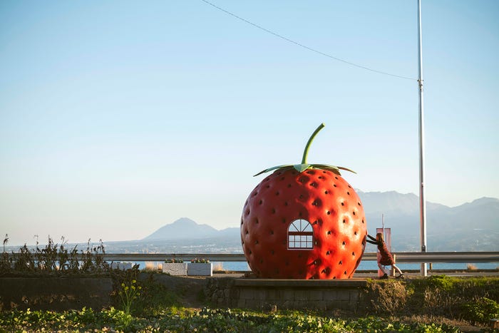 東村芽依(C)藤本和典/白夜書房