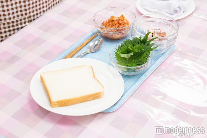 材料(C)モデルプレス