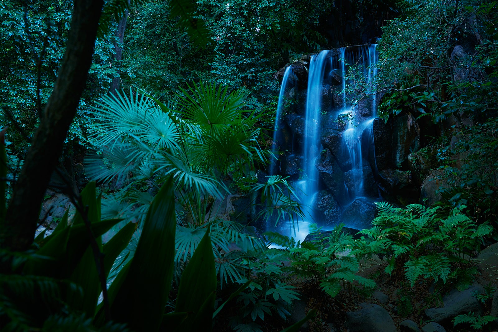 名主の滝公園／画像提供：東京地下鉄