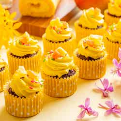 マンゴー ランデブー/提供画像