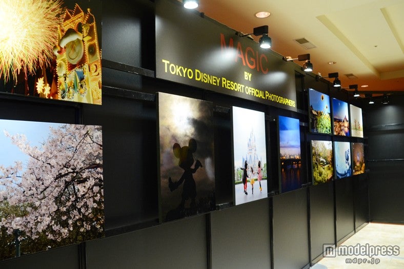 フォトグラファーによるパークの風景などを集めた写真展