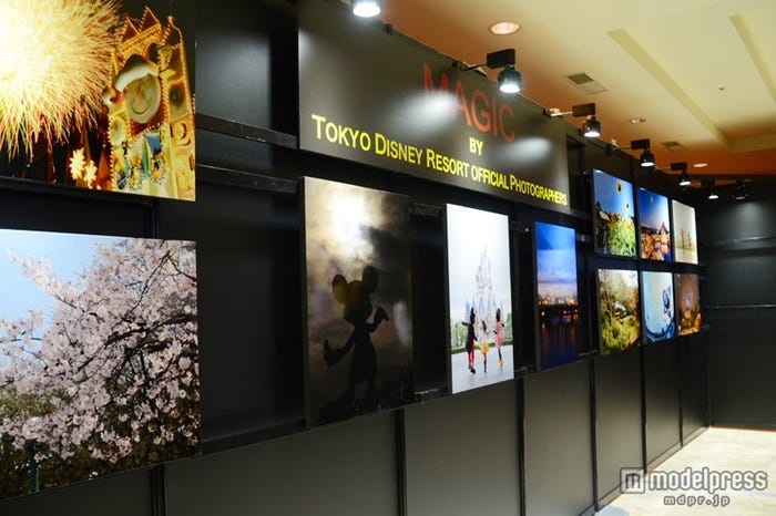 フォトグラファーによるパークの風景などを集めた写真展