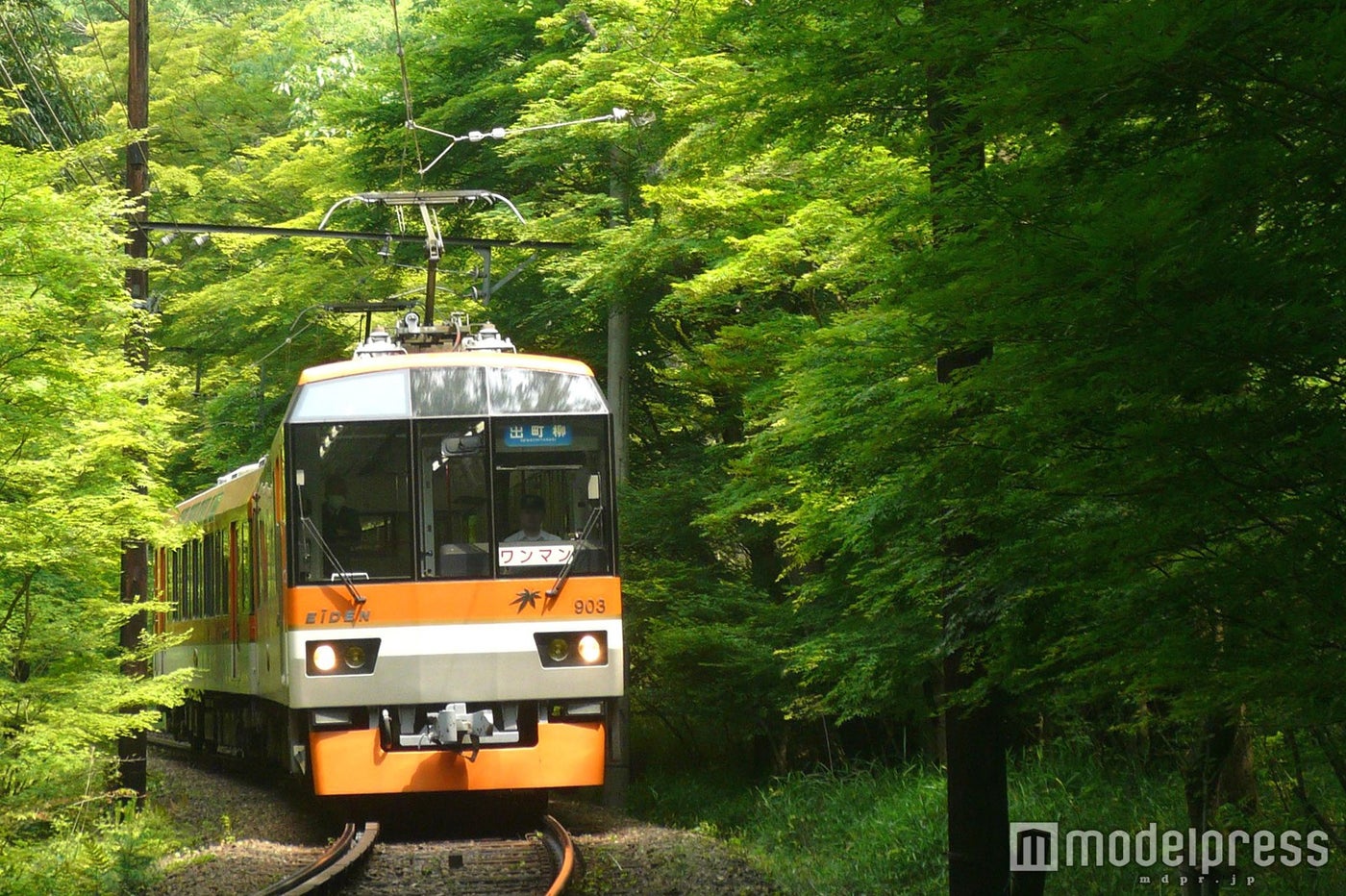 新緑の青もみじの中を走る叡山電車／画像提供：叡山電鉄