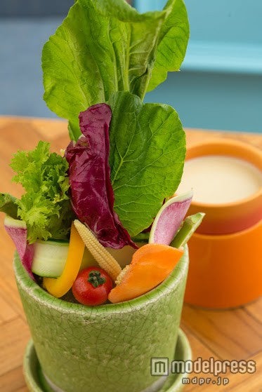 「地球の味がする新鮮野菜のバーニャカウダ」￥1，200／画像提供：TBI JAPAN