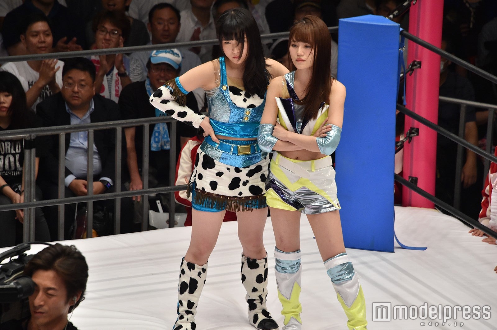 豆腐プロレス The REAL 2017 WIP CLIMAX（C）モデルプレス