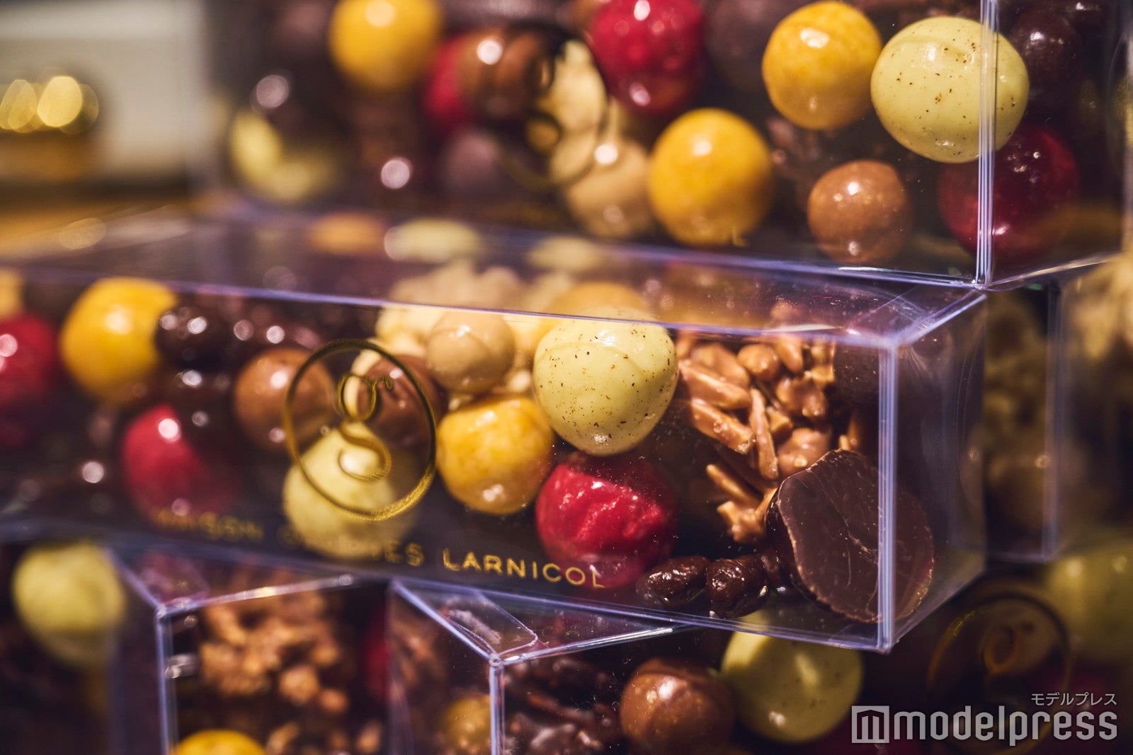 メゾン・ジョルジュ・ラルニコル（C）モデルプレス