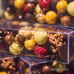 メゾン・ジョルジュ・ラルニコル(C)モデルプレス