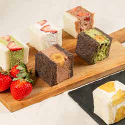 ももの樹/画像提供:モンテステリース