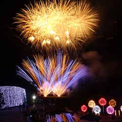 音と光の花火ショー/画像提供:国営讃岐まんのう公園