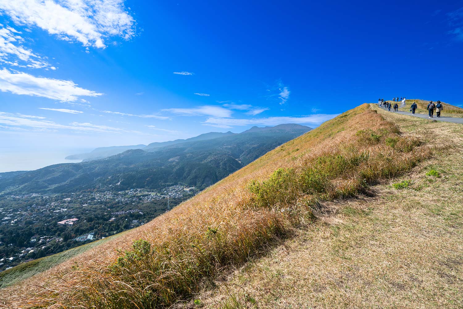 愛犬同伴可能な近隣の大室山／提供画像