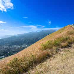 愛犬同伴可能な近隣の大室山/提供画像