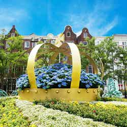 あじさい祭/画像提供:ハウステンボス