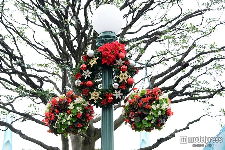 ディズニーランド・デコレーション