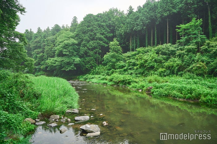 鮮やかな緑の木々と川のせせらぎが織りなす景観（C）モデルプレス
