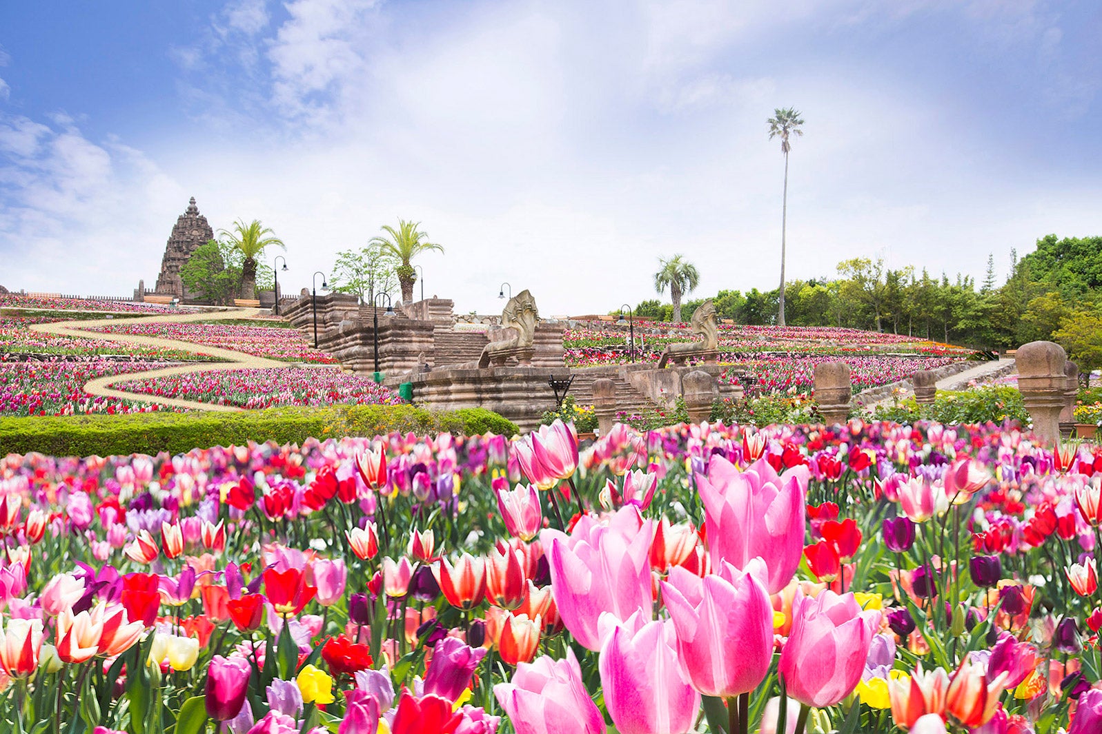 12万本のチューリップ祭／画像提供：株式会社レオマユニティー