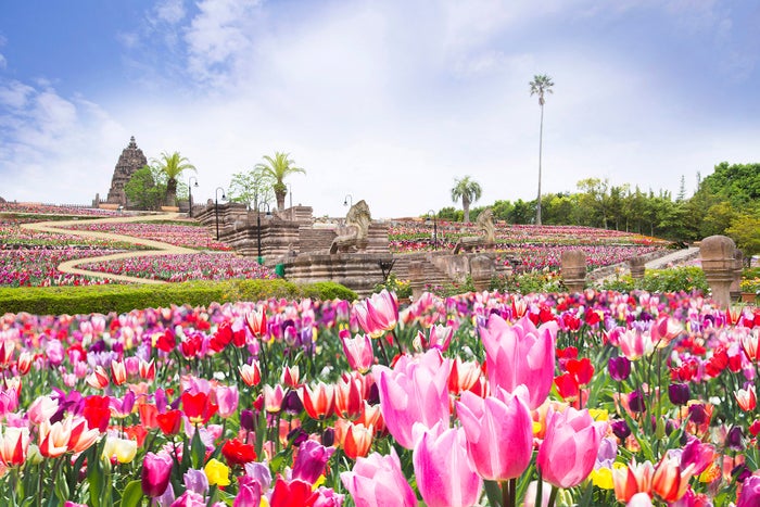 12万本のチューリップ祭／画像提供：株式会社レオマユニティー