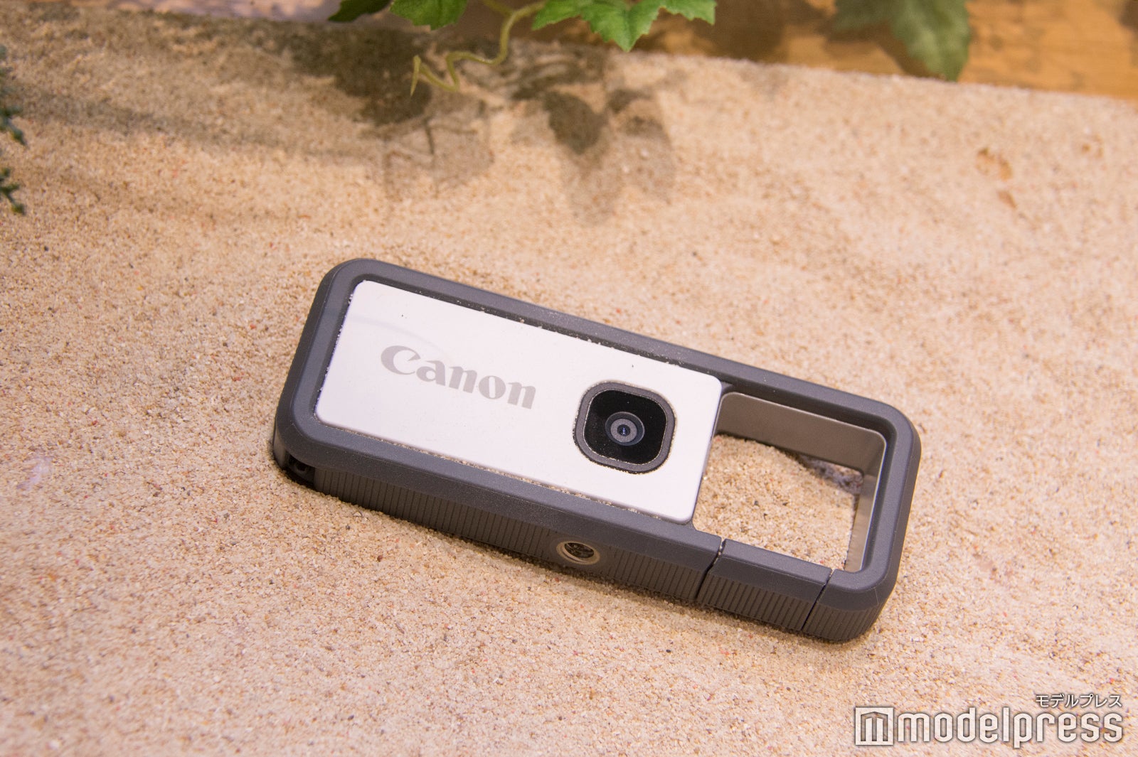 （C）モデルプレス