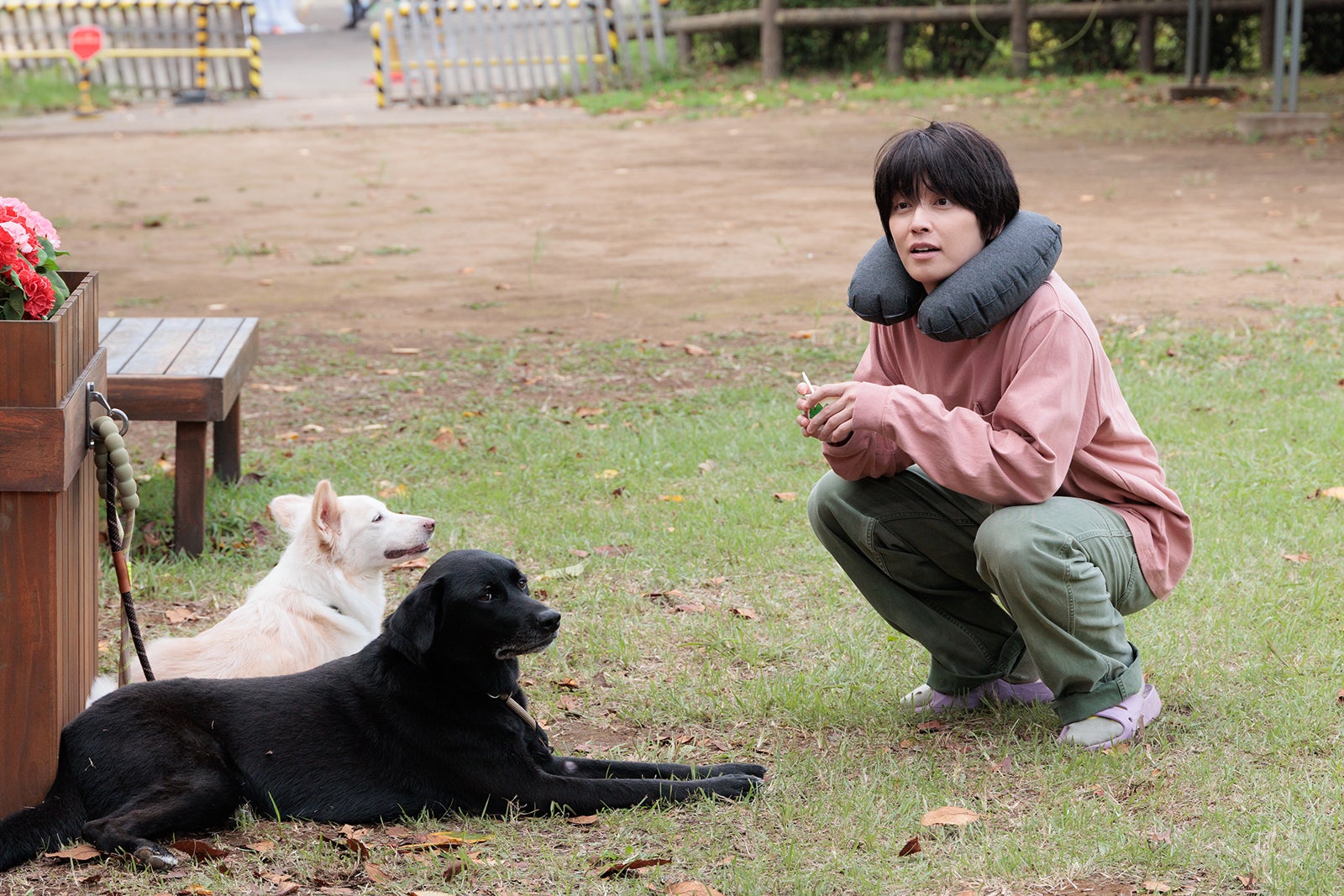 手越祐也「ぼくたちん家」第1話（C）日本テレビ