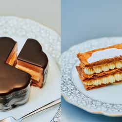 メゾンカカオ/提供画像