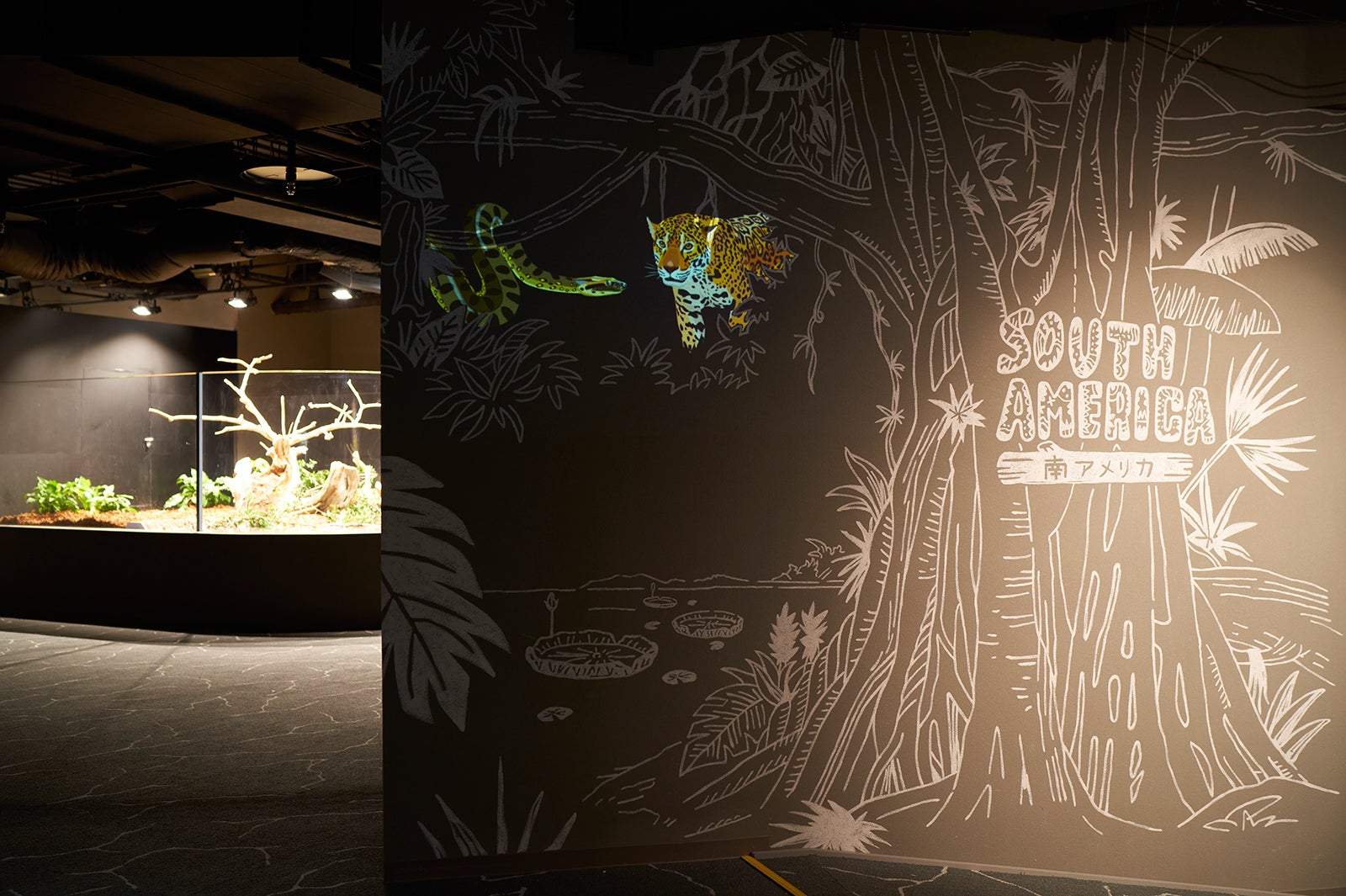 南アメリカゾーン／画像提供：アクア・ライブ・インベストメント