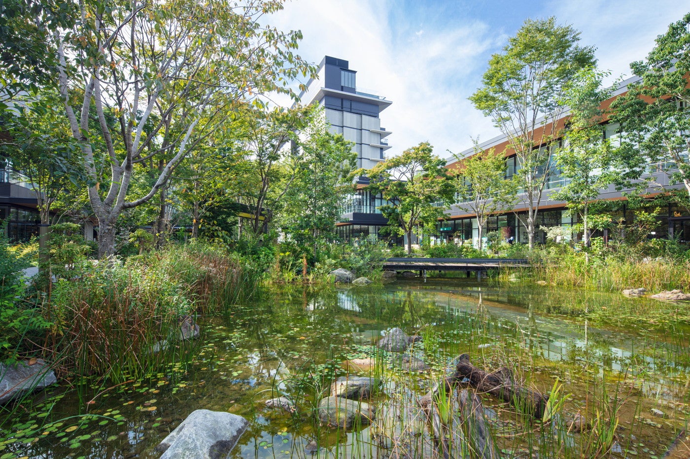 GREEN SPRINGS／提供画像