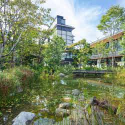 GREEN SPRINGS/提供画像