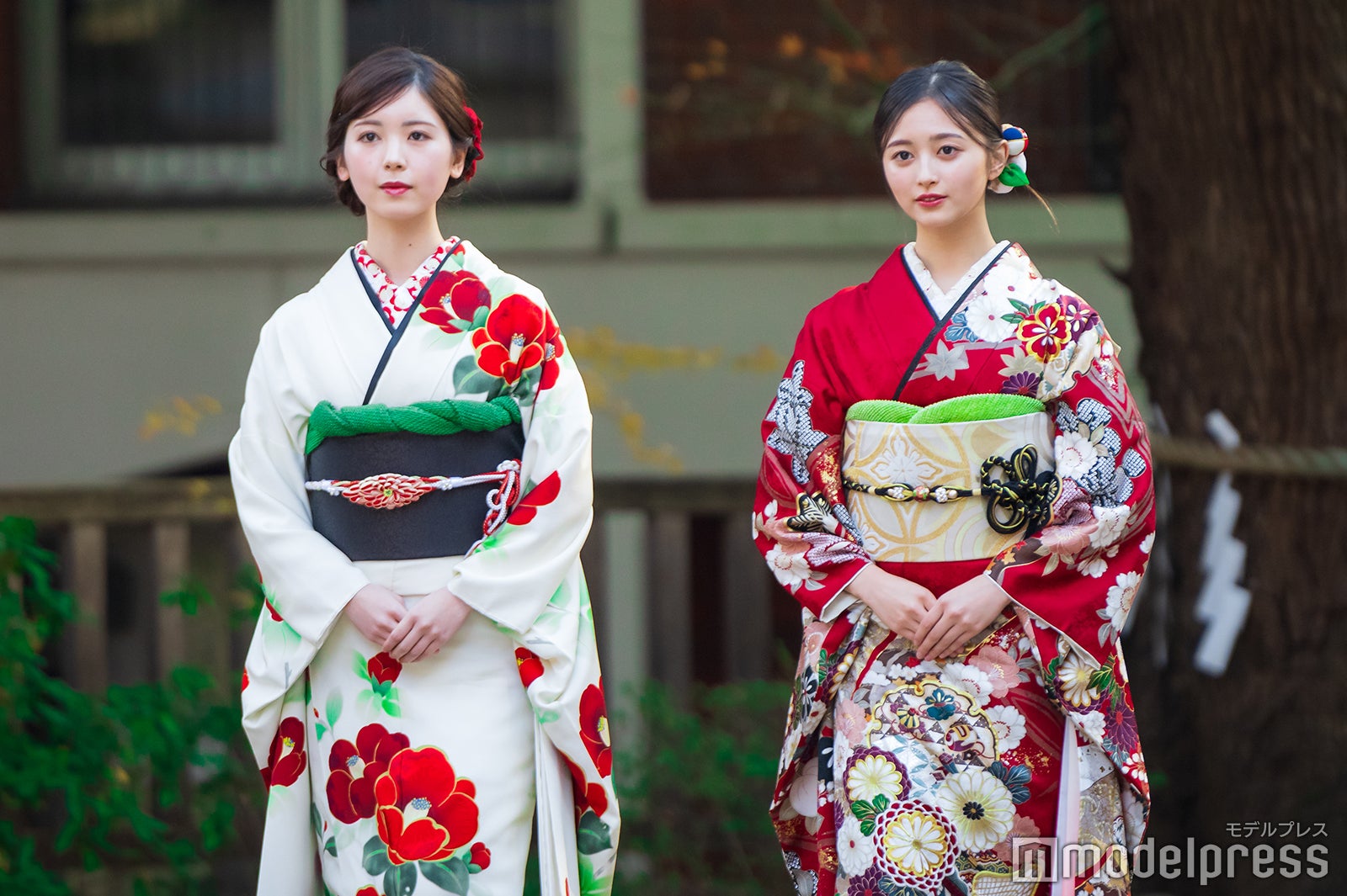 筒井あやめ、井上和／乃木坂46成人式（C）モデルプレス